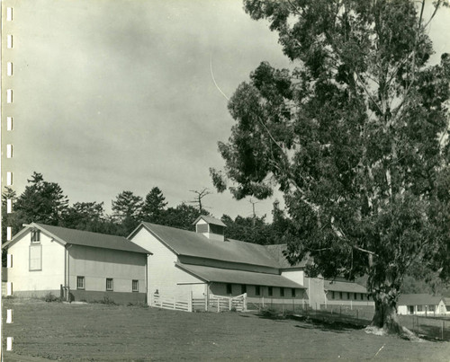 Part of Bear Valley Ranch complex, Marin County, California, circa 1945 [photograph]