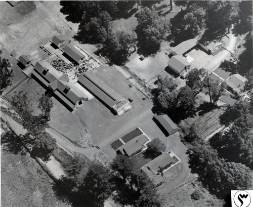 Aerial view of the Bear Valley Ranch, Marin County, California, circa 1945 [photograph]