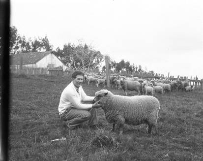 Student with Sheep Project, Tomales High School Agriculture Tour, March 1929 [photograph]