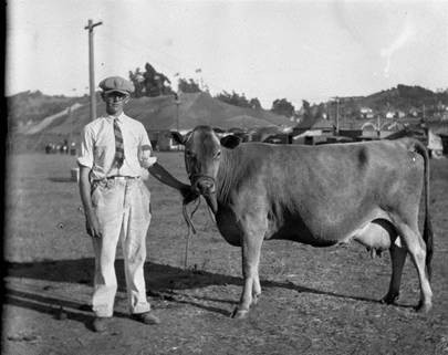 Ted Gleason his cow Buttercup at the Marin County Fair, Novato, August 22, 1926 [photograph]