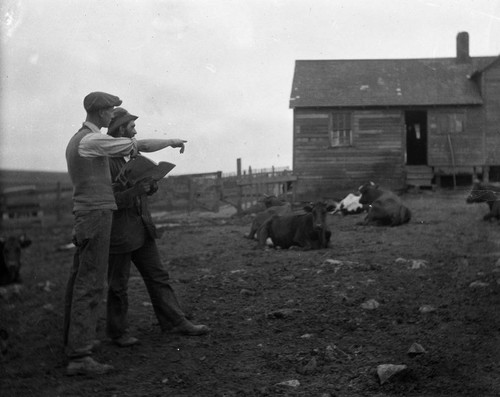 Dairy farm in Western Marin, circa 1928 [photograph]