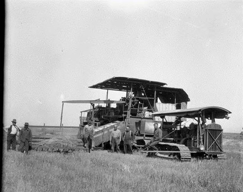 Field Crop Trials, Marin Meadows Ranch, Ignacio, Marin County, June 1928 [photograph]