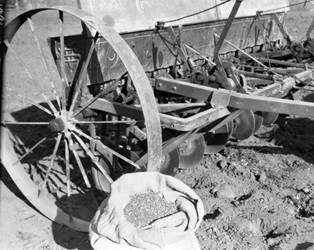 Planing and forage crop testing on the Stewart Ranch, Nicasio, Marin County, December 1930 [photograph]