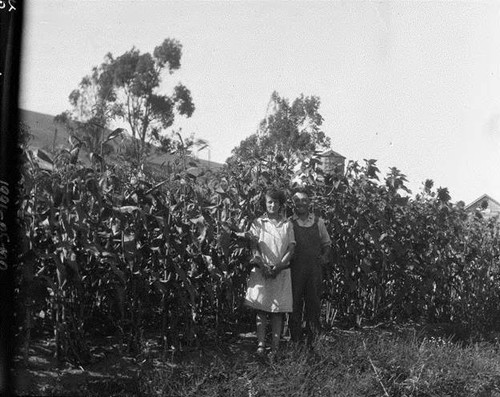 Roland & Emma (Bordessa) Matteri with corn and silo, Fallon, October 1927 [photograph]