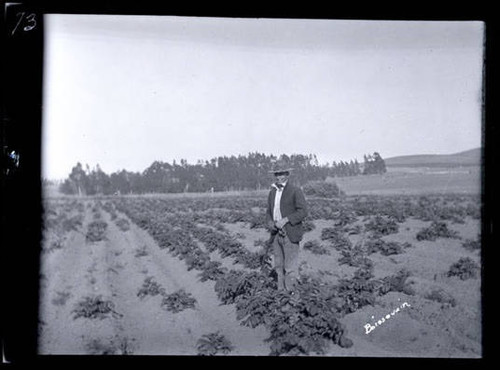 Will Bragga, a member of the Potato Club in Tomales, California, July 1922 [photograph]