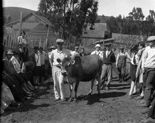 Tomales High School Project and Club Trip, W.H. Reasoner and students, April 1927 [photograph]