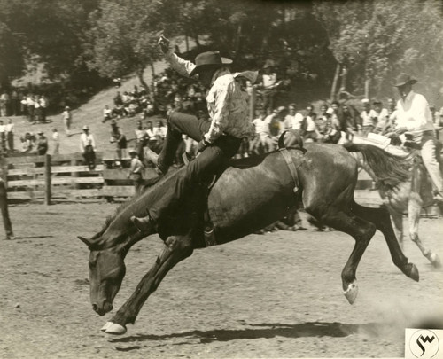 Rodeo at Circle V Ranch, Fairfax, Marin County, California, circa 1950 ...
