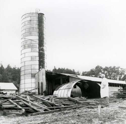 The razing of silos on the former Roy Ranch, San Geronimo, California, May, 1964 [photograph]