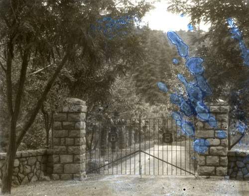 Gate and drive to the Bach family estate in Kentfield, Marin County, California, circa 1902 [photograph]