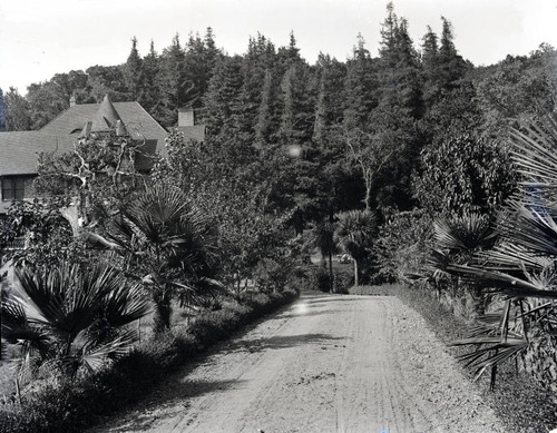 Drive and gardens of the Charles Bach estate in Kentfield, Marin County, California, circa 1902 [photograph]