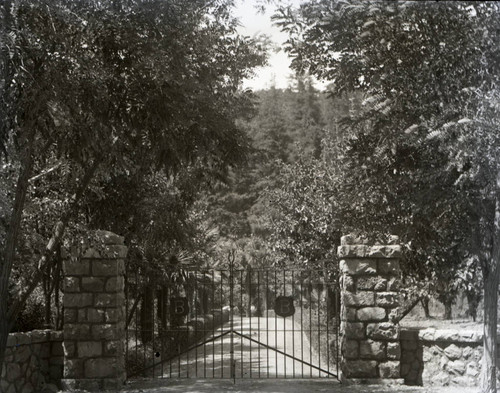 Gate and drive to the Bach family estate in Kentfield, Marin County, California, circa 1902 [photograph]