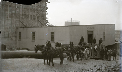 Charles Bach Company in San Francisco, California, circa 1905 [photograph]