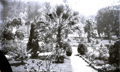 Gardens at the Charles Bach estate in Kentfield, Marin County, California, circa 1902 [photograph]