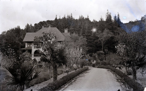 Drive and gardens at the Charles Bach estate in Kentfield, Marin County, California, circa 1902 [photograph]