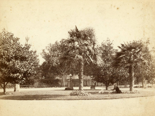 Garden of the George E. Butler Estate, "Brighthurst," Kentfield, California, circa 1890 [photograph]