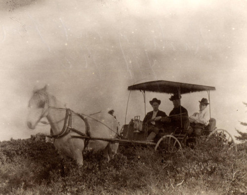 Horse-drawn carriage near Camp Ho Ho in Larkspur, circa 1895 [photograph]