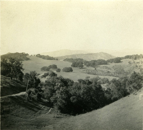 View from Camp Ho Ho, Larkspur,circa 1890 [photograph]