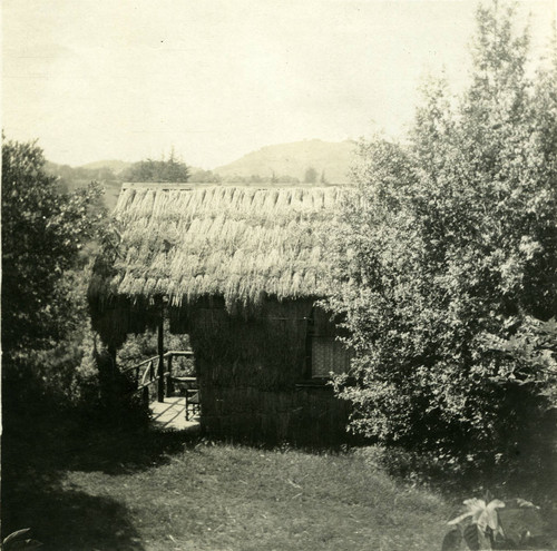 Cabin at Camp Ho Ho, Larkspur, circa 1890 [photograph]