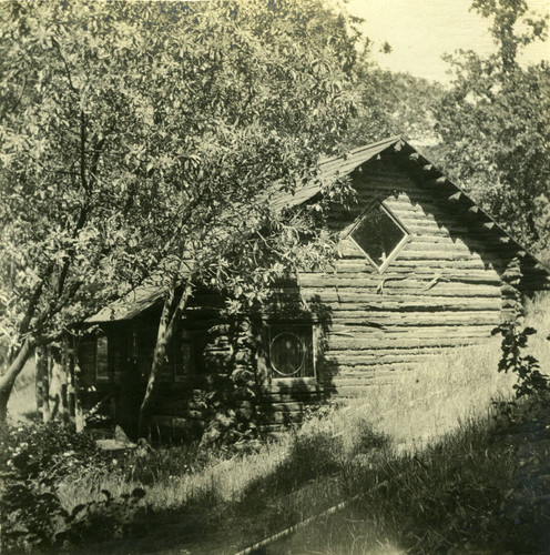 Cabin at Camp Ho Ho, Larkspur, circa 1890 [photograph]