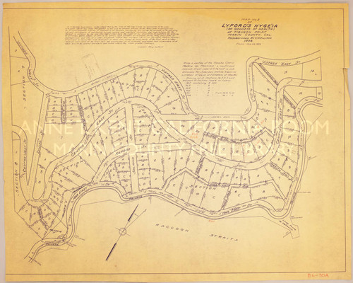 Map #3, Lyford's Hygeia [Mar East, Linda Vista, Centro, Reposo, Diviso, Vistazo]