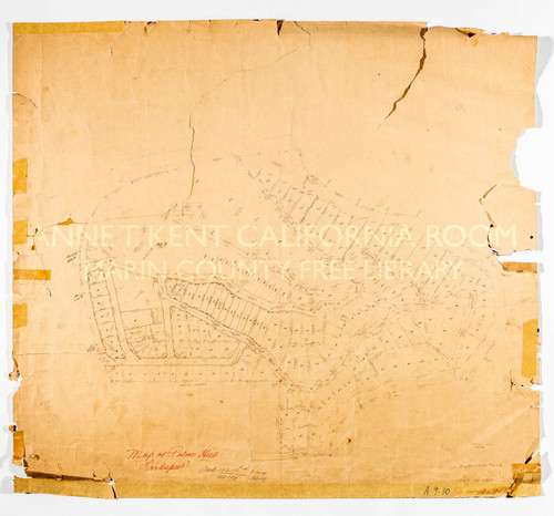 Map of Palm Hill, Bickerstaff Tract [Elm, Pepper, Bay View]