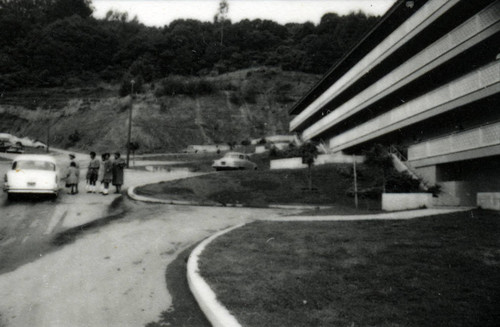 Public housing, developed by the Marin County Housing Authority and designed by Aaron G. Green, FAIA in association with John Carl Warneke, AIA, Marin City, California, circa 1963 [photograph]