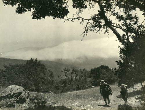 Hikers near the Mountain Theatre, Mt. Tamalpais, California, circa 1923 [photograph]