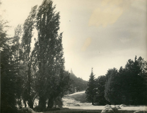 Landscape near Kentfield, Marin County, California, circa 1920 [photograph]