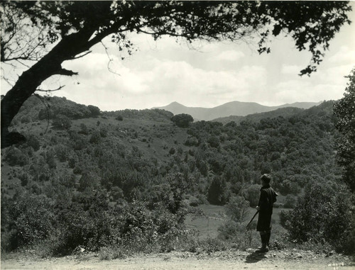 Mt. Tamalpais from Cascades area (Fairfax), Marin County, California, circa 1922 [photograph]