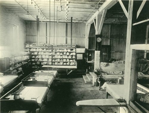 Laundry, San Quentin Prison, Marin County, California, May 1919 [photograph]