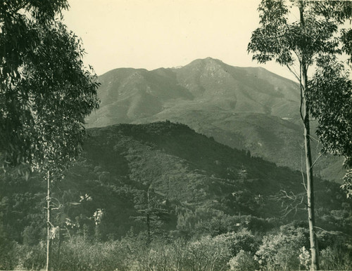 Mt. Tamalpais, Marin County, California, circa 1922 [photograph]