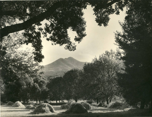 Kentfield, with Mt. Tamalpais in the distance, Marin County, California, circa 1929 [photograph]