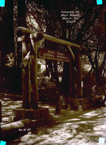 Entrance gate for Muir Woods, circa 1935 [postcard negative]