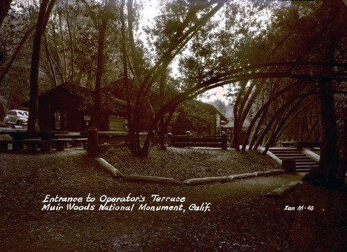 Administration-Operator building in Muir Woods, 1941 [postcard negative]