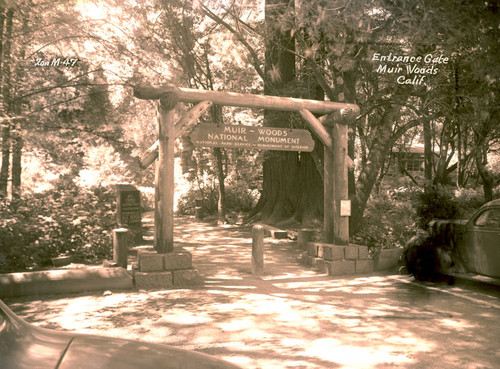 Entrance gate to Muir Woods National Monument, circa 1935 [postcard negative]