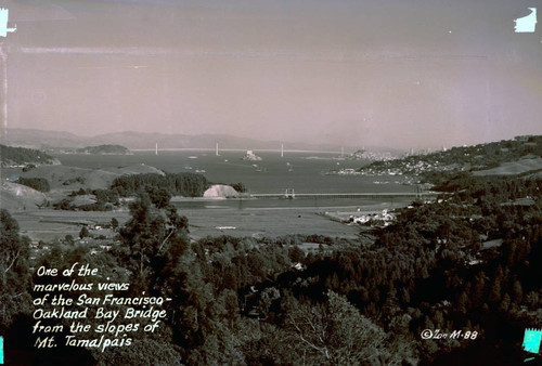 View of the Richardson Bay Bridge and the San Francisco-Oakland Bay Bridge from Mt. Tamalpais, California, circa 1936 [postcard negative]