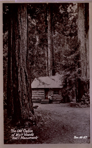 Ben Johnson cabin in Muir Woods, 1938 [postcard negative]