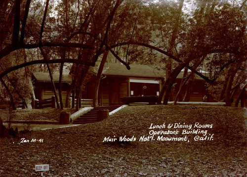 Lunch and dining rooms in Muir Woods Administration-Operator building, 1941 [postcard negative]