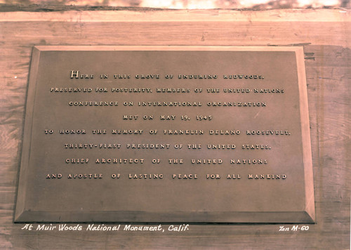 Plaque dedicated to Franklin Delano Roosevelt, from members of the United Nations Conference on International Organization, Muir Woods, circa 1947 [postcard negative]