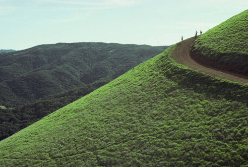 Marin County Parks staff on the summit of White Hill, 1978 [photograph]