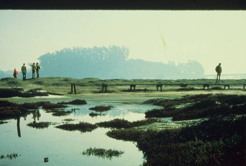 Marin County Parks Department staff at Bothin Marsh, 1974 [photograph]