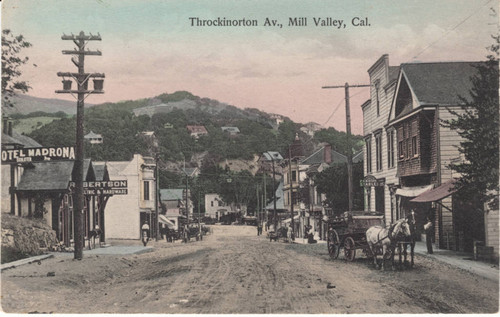 Throckmorton Avenue, Mill Valley, circa 1908 [postcard]