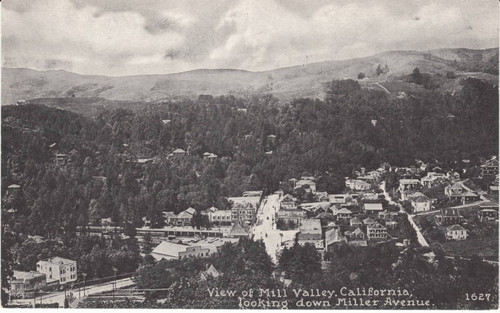 View of downtown Mill Valley, looking southwest, circa 1915 [photograph]