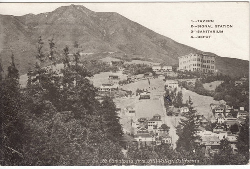 View of Mill Valley with Mt. Tamalpais in the background, circa 1910 [postcard]