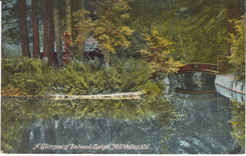 Redwood Lodge, Mill Valley, circa 1910 [postcard]