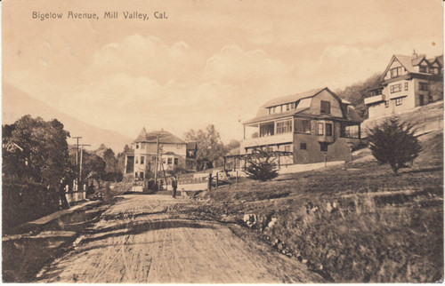 View of Bigelow Avenue, Mill Valley, 1907 [postcard]