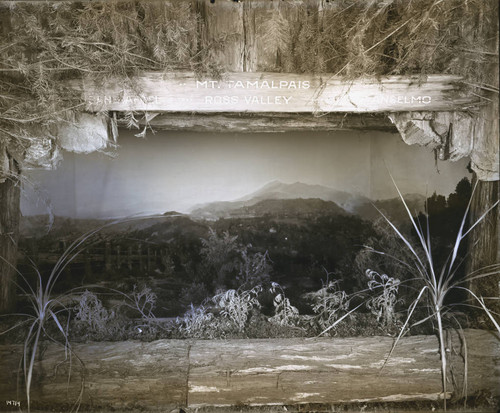 Diorama by artist E. Serbaroli, part of the Marin County Exhibit, in the California Building at the 1915 Panama-Pacific International Exposition [photograph]