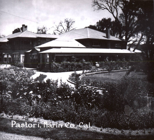 Pastori's Resort in Fairfax, Marin County, California, circa 1905 [photograph]