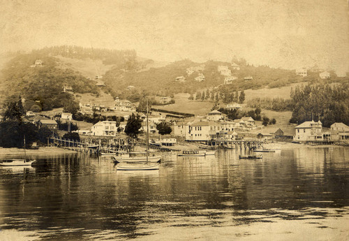 Whaler's Cove in Sausalito, Marin County, California, circa 1903 [photograph]