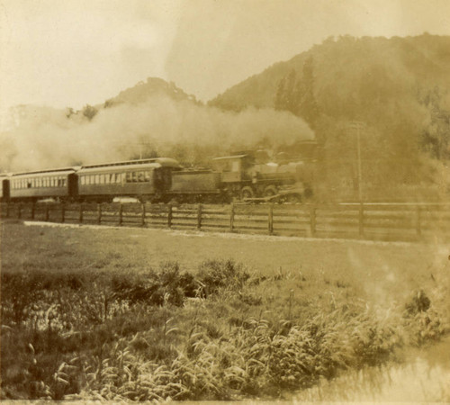 A narrow gauge train near Escalle Station in Larkspur, Marin County, California, circa 1890 [photograph]